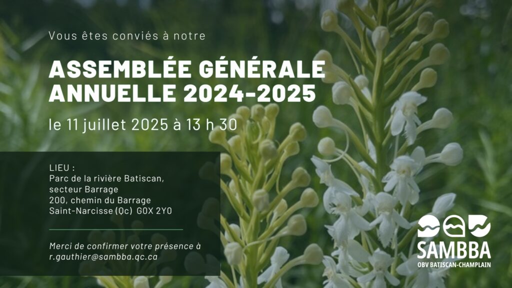 aga-sambba-2025