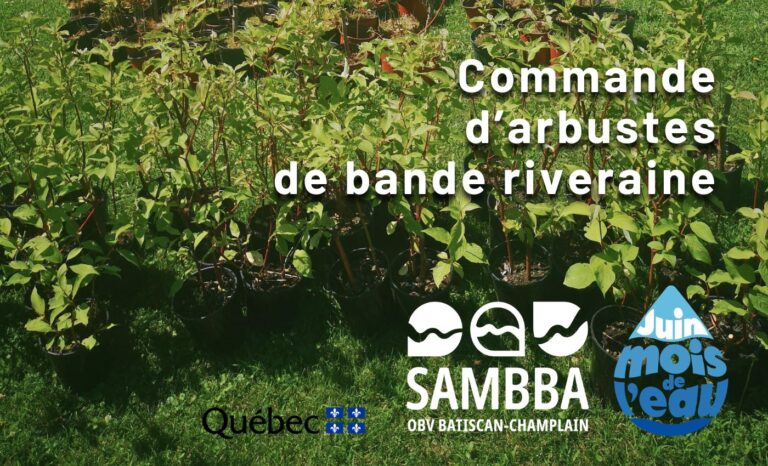 Mois de l'eau 2026-Commande arbustes