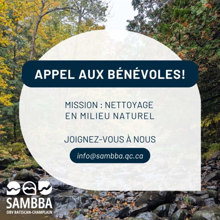 Facebook_Appel aux benevoles_image